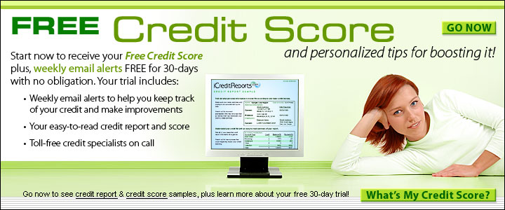 Guitar Player Free Credit Report